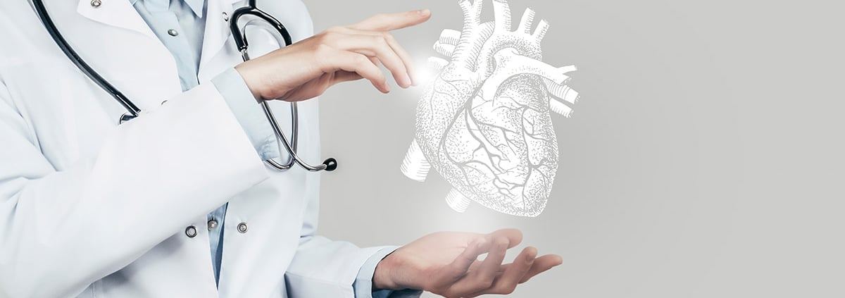 A doctor showing an illustration of the human heart