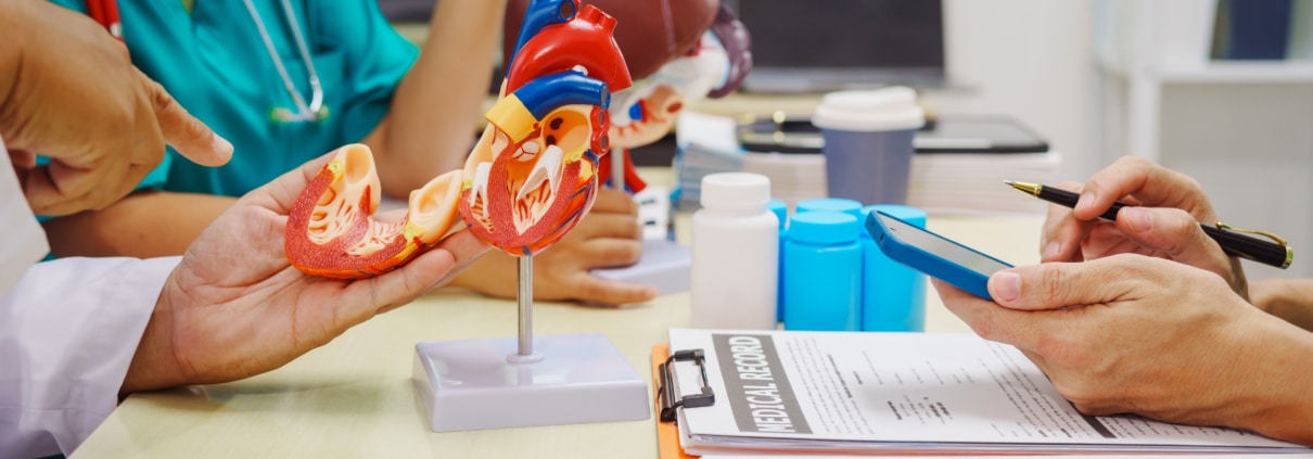 A group of people looking at a model of human organs