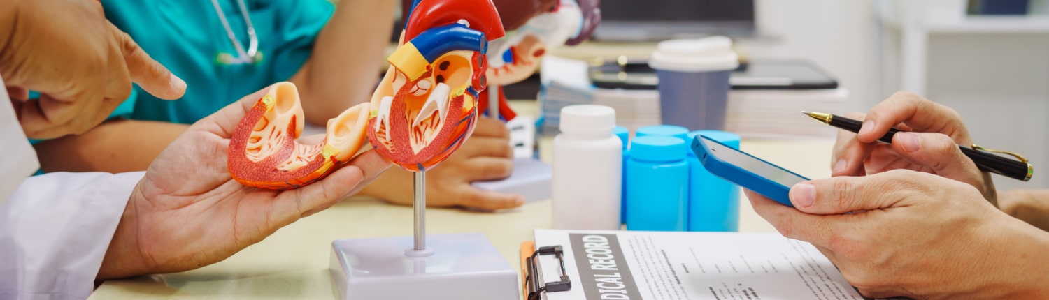 A group of people looking at a model of human organs