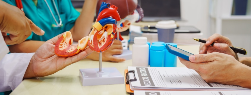A group of people looking at a model of human organs