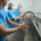 Men and women thoroughly wash their hands